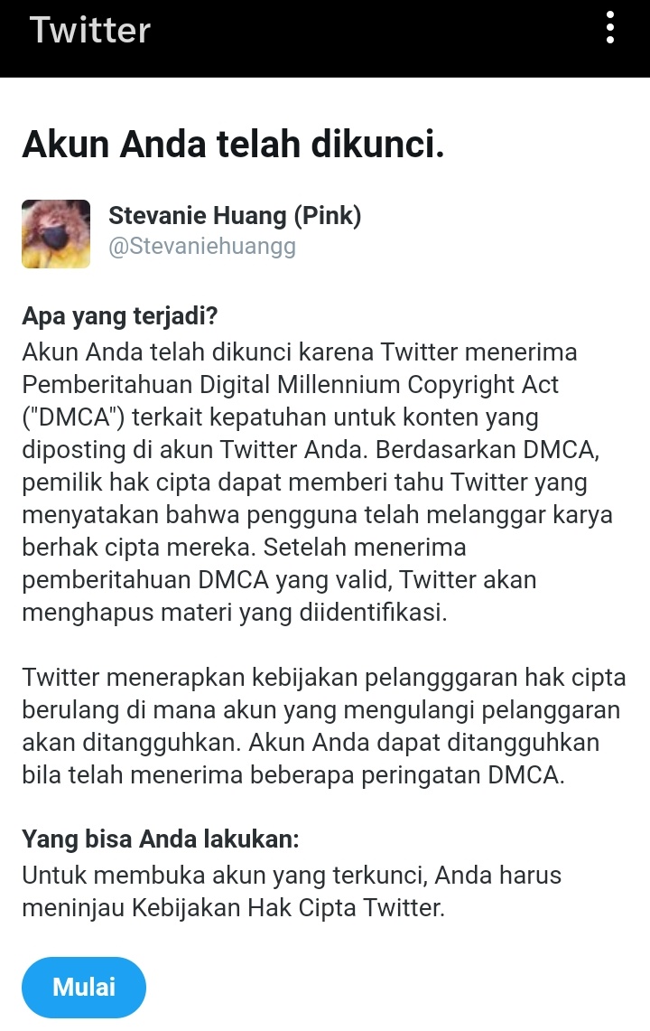 Stevaniehuangg tweet media