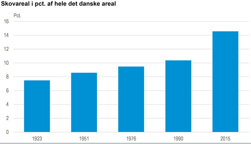 Dobbelt så meget skov på 100 år 🌱