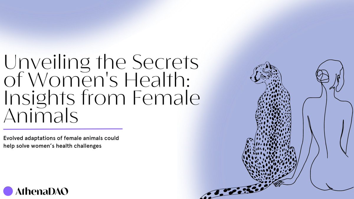 Did you know studying other female animals can reveal groundbreaking insights into women's health? 

#womenshealth #womenshealthresearch

👇