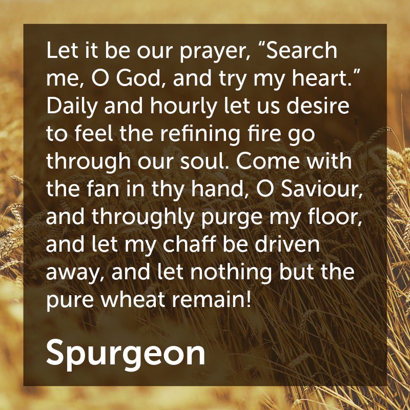 ReadingSpurgeon's tweet photo. Let nothing but the pure wheat remain.
#Spurgeon #s830 https://t.co/D50hGpuNO8