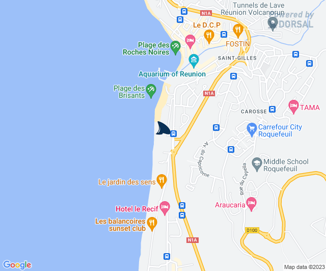 Centre Sécurité Requin tweet media