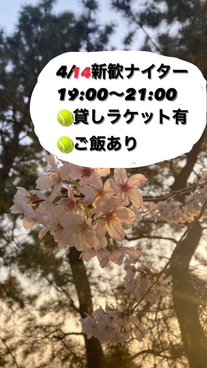 こんにちは😃九大硬式テニスサークルのフレームショットです🎾

14日新歓ナイターまだまだ募集してます‼️
興味ある方はDMまで❤️‍🔥

#春から九大
