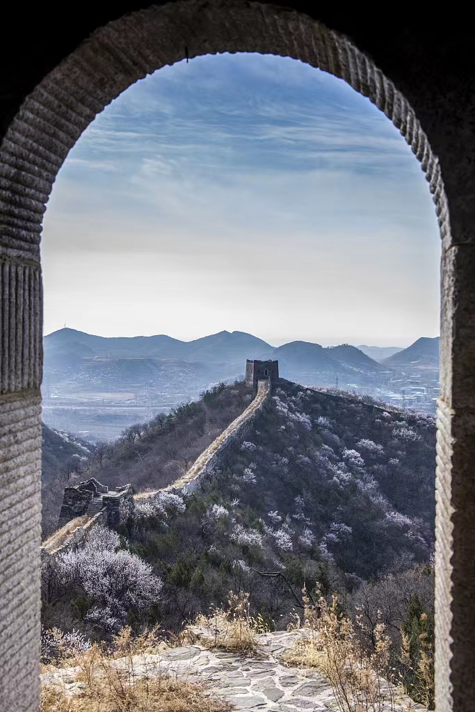 BeijingDiscover's tweet photo. Hefangkou Great Wall in Huairou District of Beijing offers a unique window into spring beauty. 
#InBeijing #WanderBeijing (Photo: VCG) https://t.co/zEFZ9uYJf5