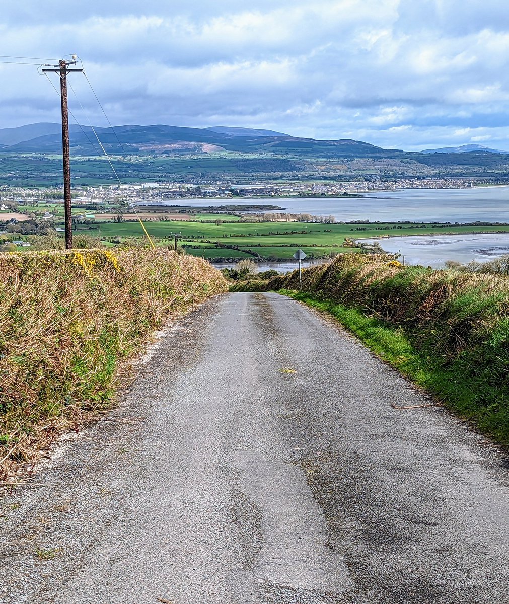 Martin Whelan tweet media