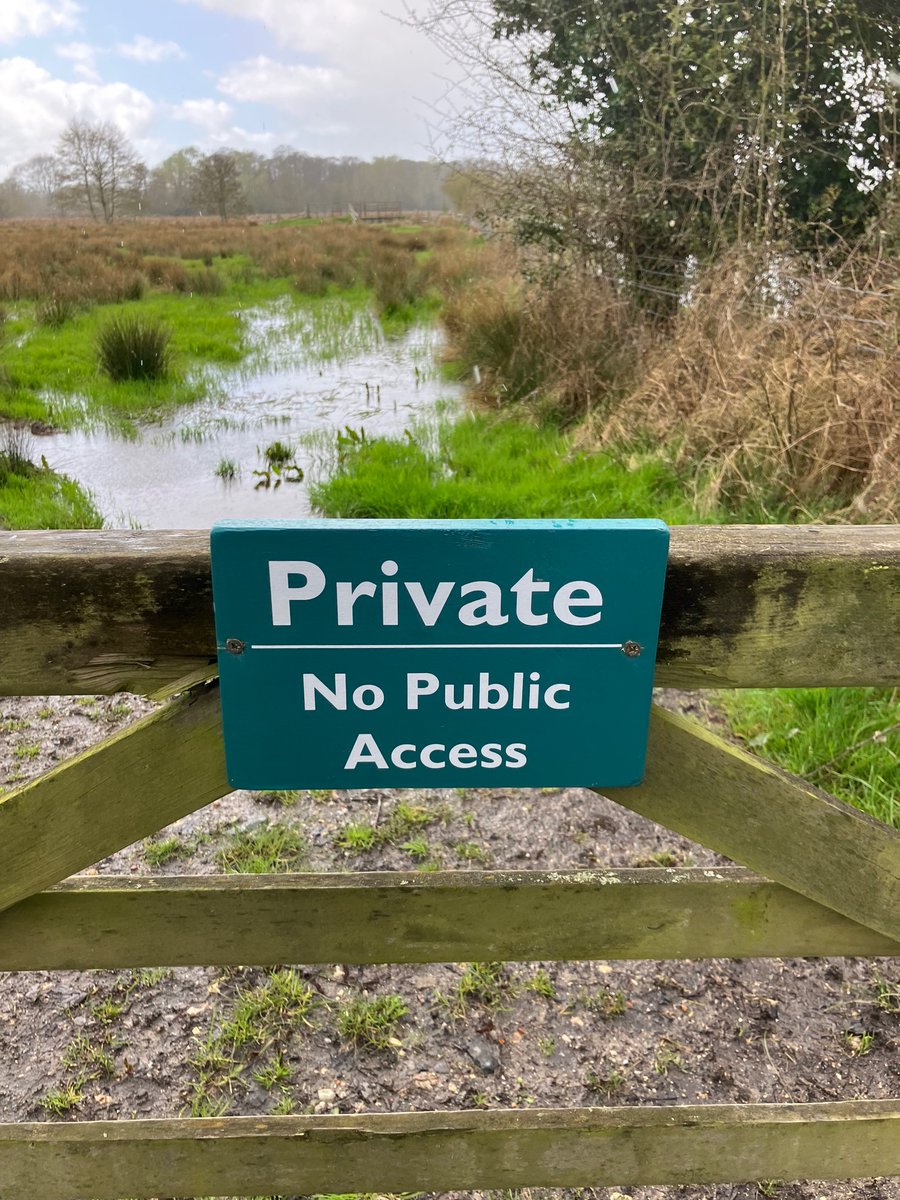 Jane's Kintbury tweet media