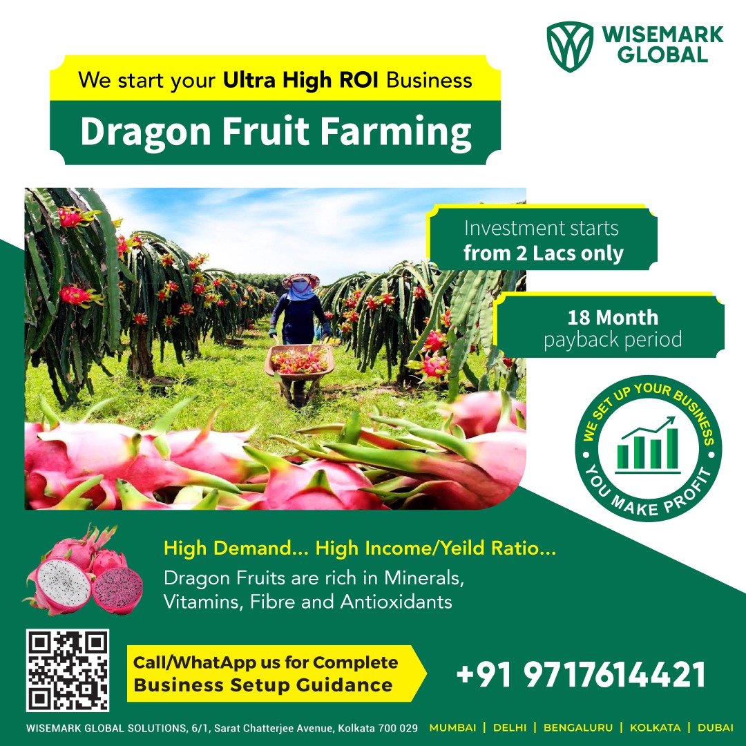 You got the zeal and we have the complete business plan ready for you. Kick-start a high ROI Dragon Fruit Farming business that will make your ever cherished dream come true.
#dragonfruit #dragonfruitfarming #dragon #fruitfarming #farmingbusiness #farming #business #ROI  #Odisha