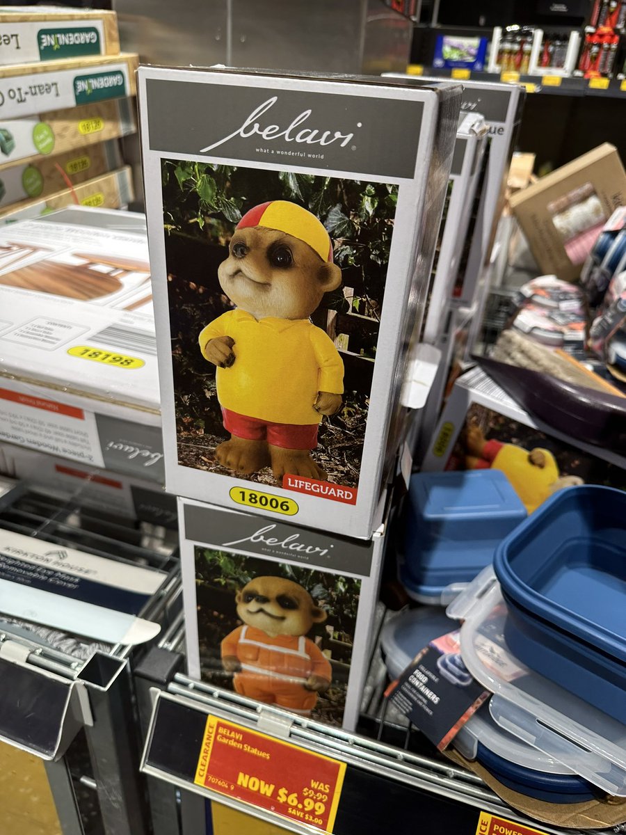 オーストラリア住んでいる人なら分かるこの格好。可愛すぎてリアルにこの顔🥹←になった