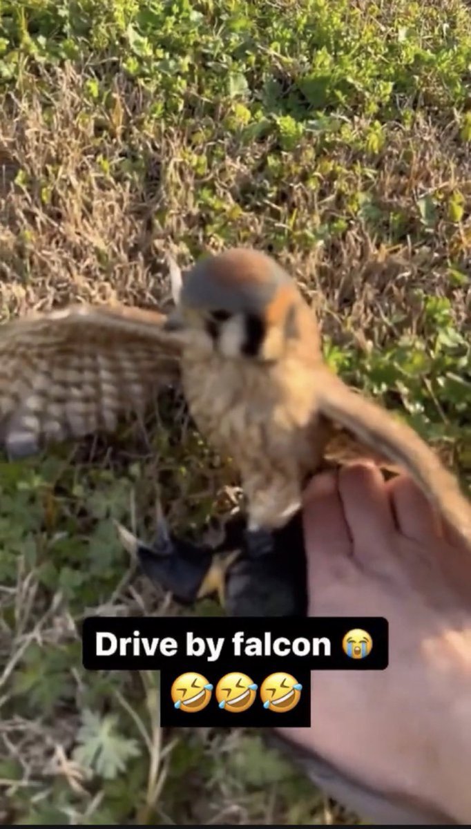 KIN🇺🇸🇬🇭 tweet media