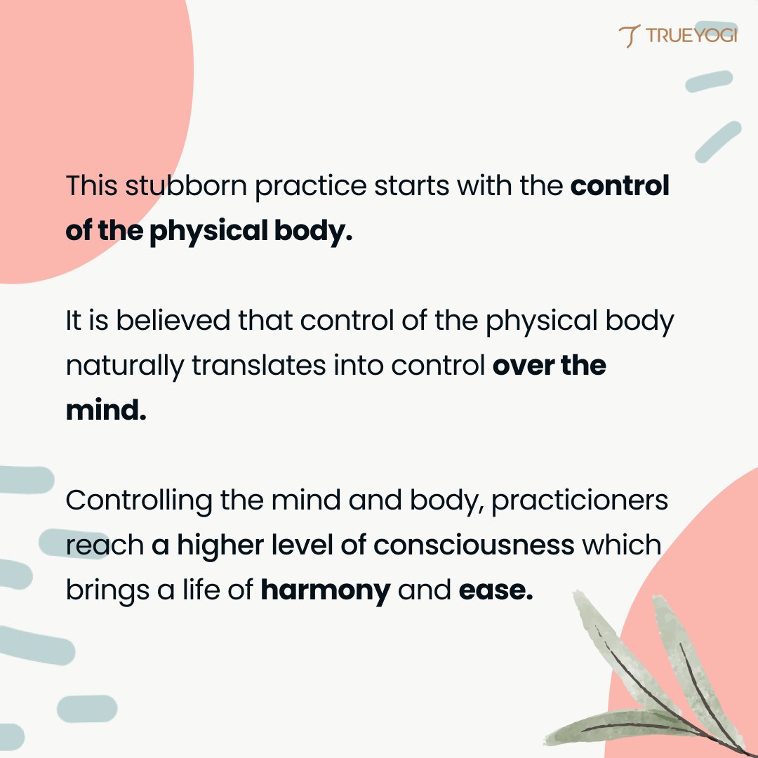 Trueyogi tweet media