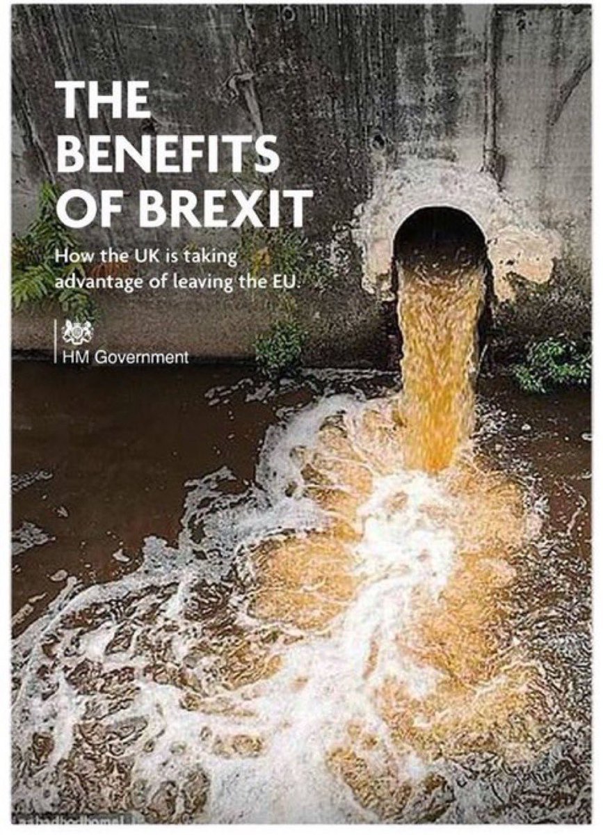 markeverett1977's tweet photo. The Tories are wrecking our beaches and rivers by allowing companies to dump raw sewage every day
#ToriesOut
#BigEnergyProfits
#CorruptTories
#CleanUpOurWaterWays
#TorySewageParty
#BrexitBrokeBritain
#BrexitScandal
#BrexitWillNeverWork https://t.co/P2xIMGcUSg