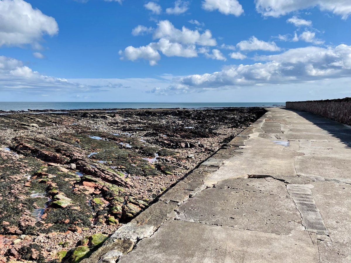 David Gray tweet media