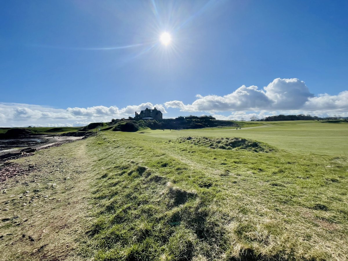 David Gray tweet media