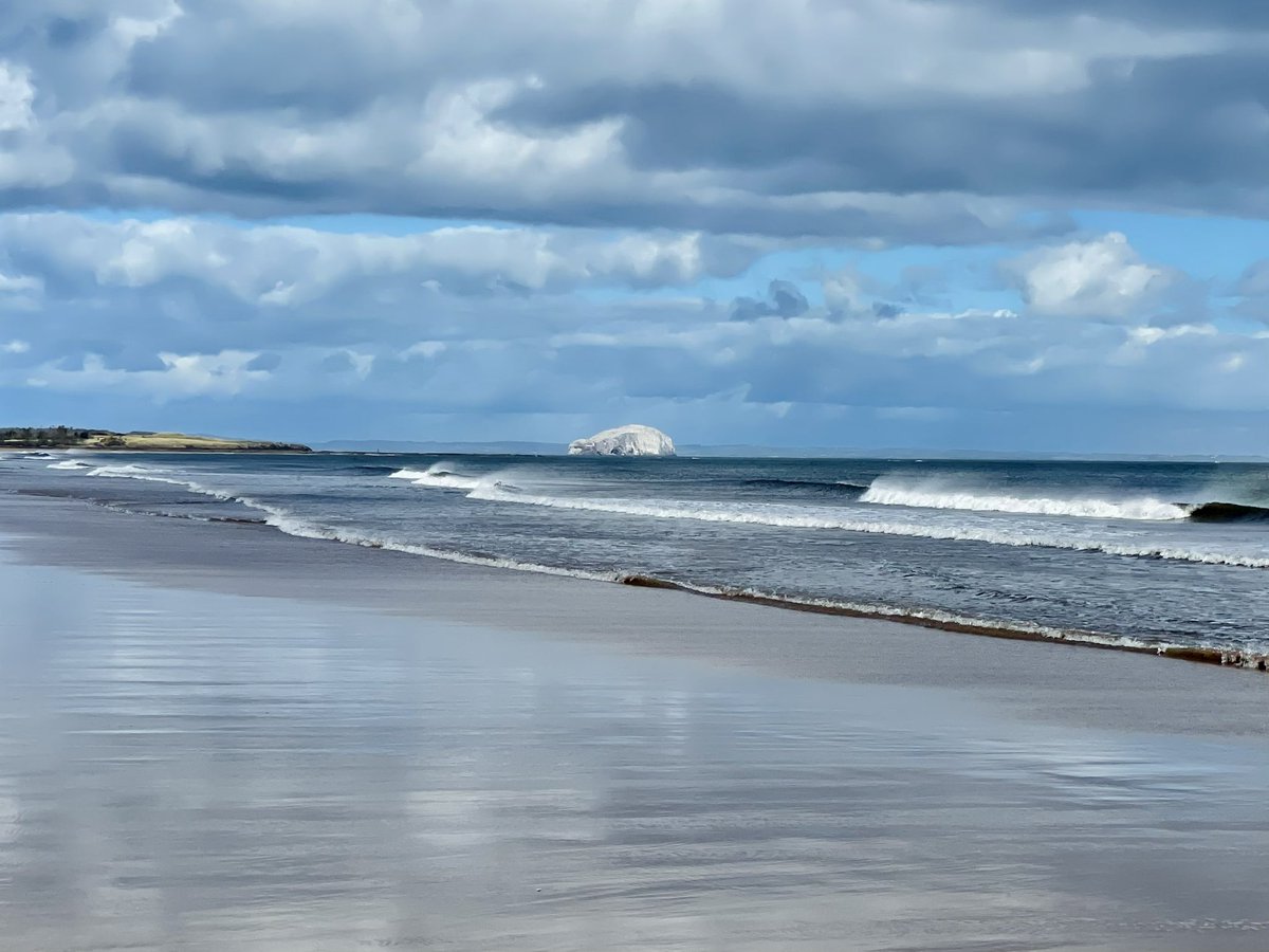 David Gray tweet media