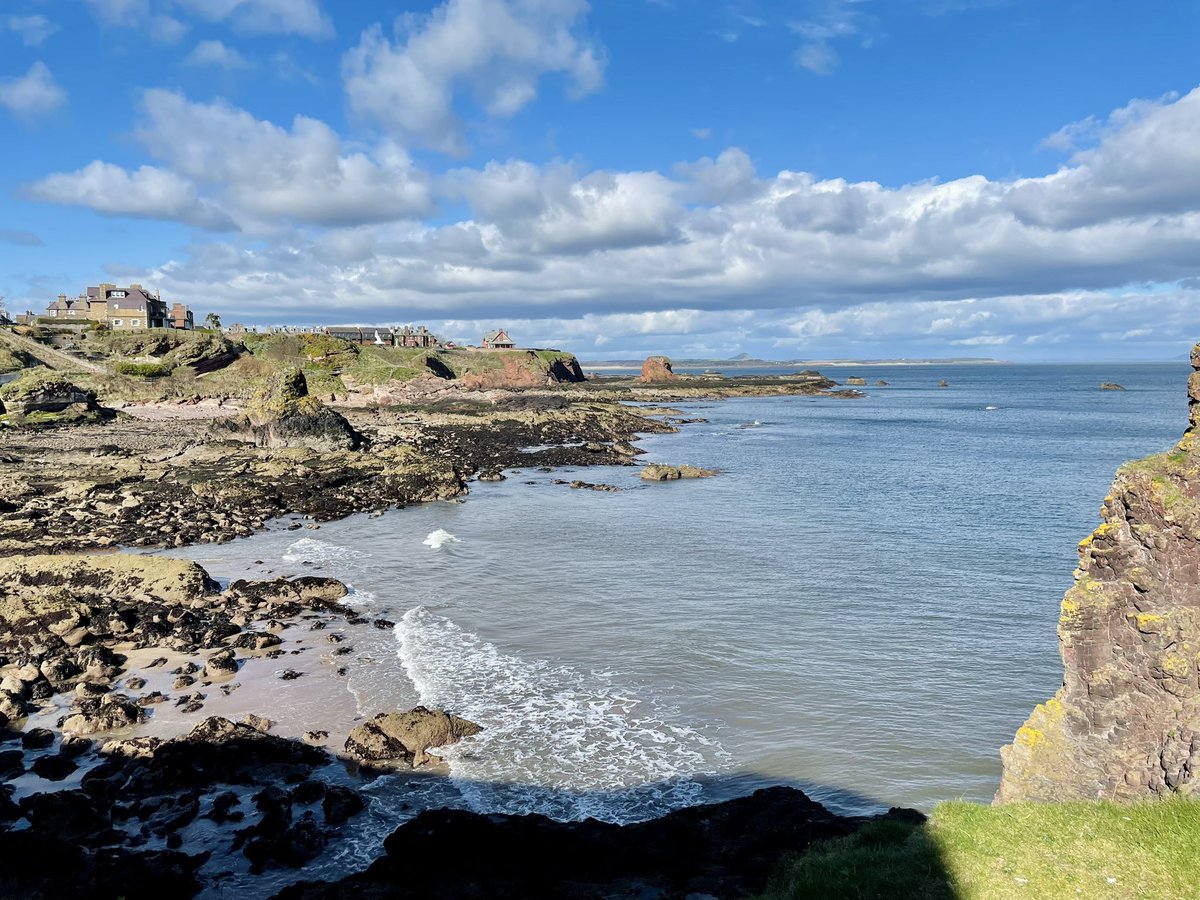 David Gray tweet media