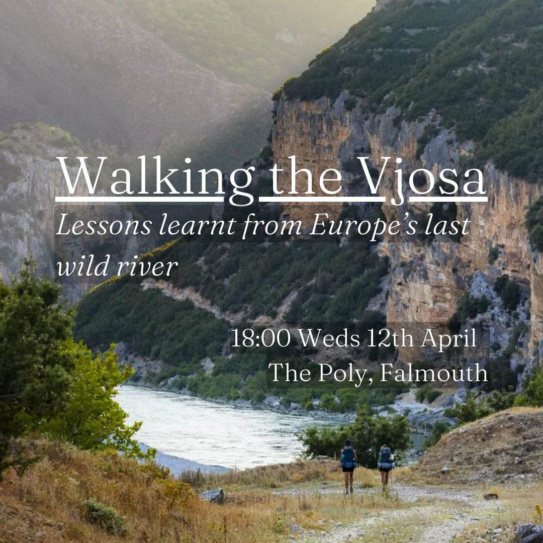 Katy Ellis tweet media