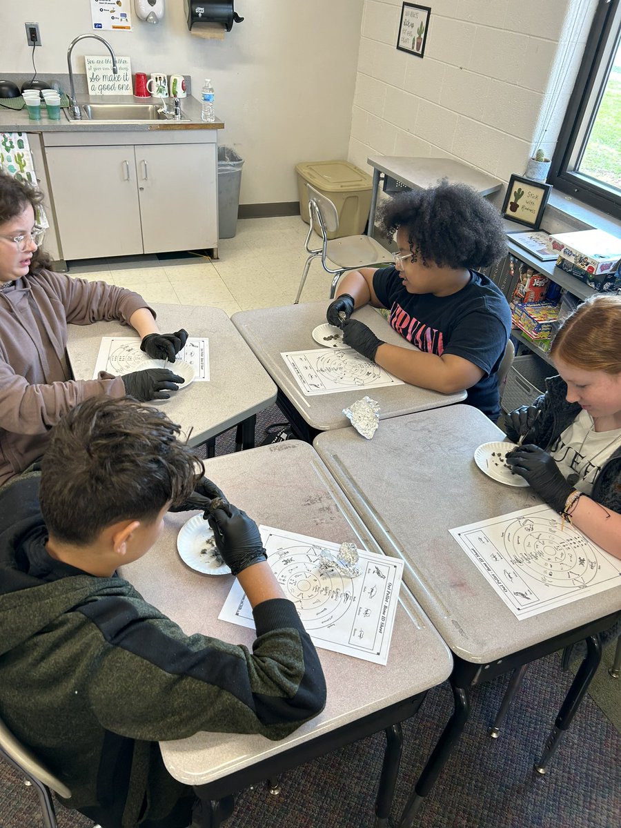 MissFinn tweet media