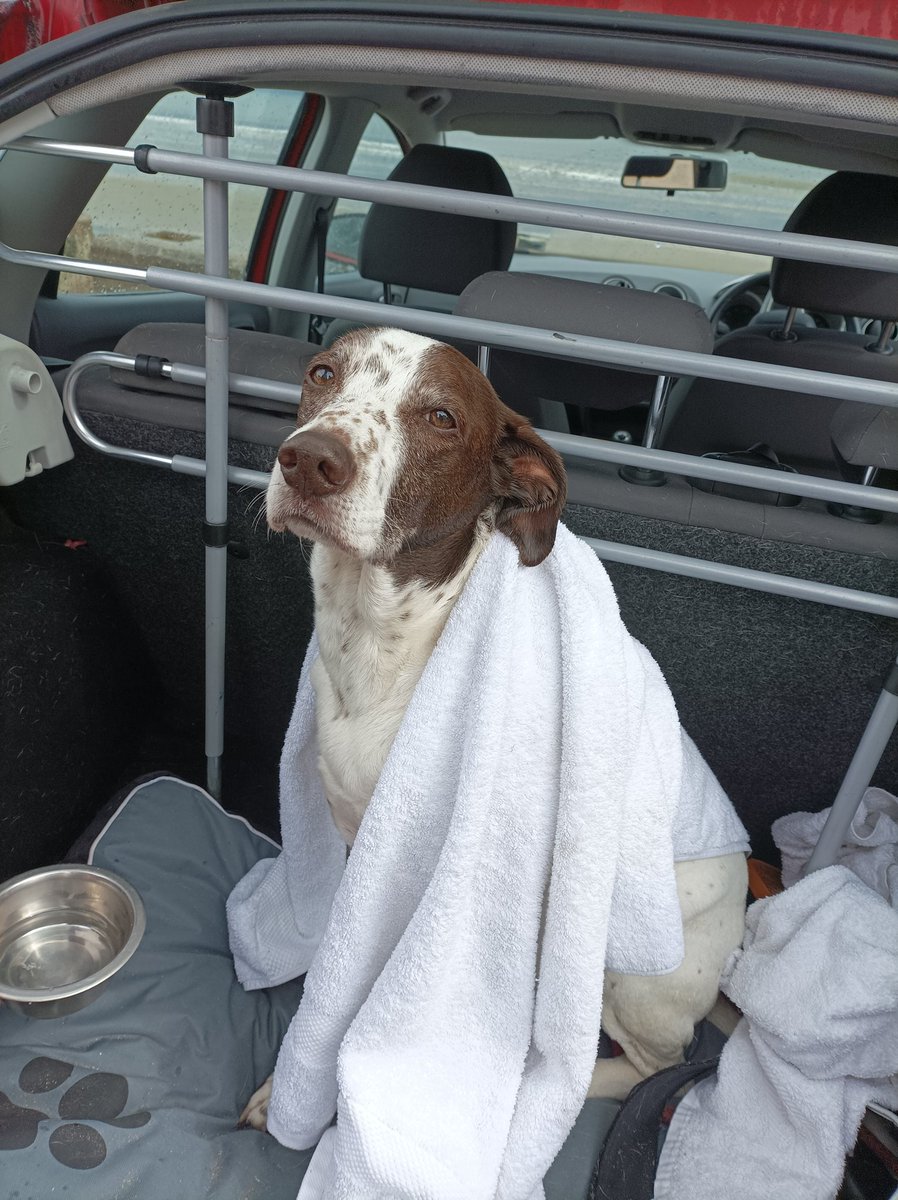 Lots of barking done at the big river today