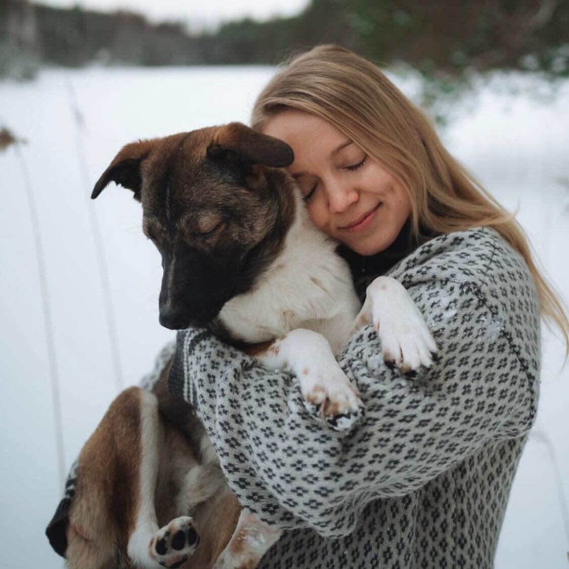 Are Finnish Hounds Intelligent Dogs