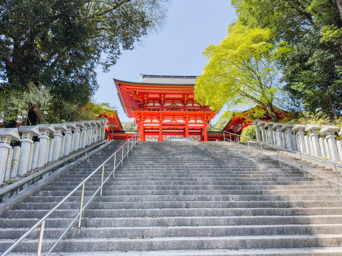 lt1_danny's tweet photo. I had the opportunity and honor to visit the Omi Jingu Shrine, a sacred place for Karuta. 

As a Chihayafuru fan, I couldn’t be happier 😭 https://t.co/AYRS35ZE7G