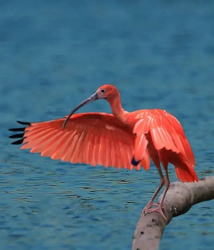 ExploreChinaScenic tweet media