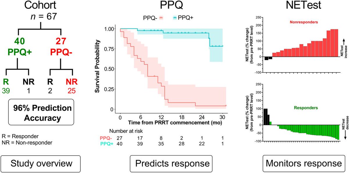 Using blood-based #biomarkers to determine the efficacy of ¹⁷⁷Lu-DOTATATE in #NeuroendocrineTumors. ow.ly/4PAF50NAttU #NuclearMedicine #MedicalResearch #NETCancer @lisabodei @DianeReidyLagun @LabKrebs @amauguen @DrRichardDo