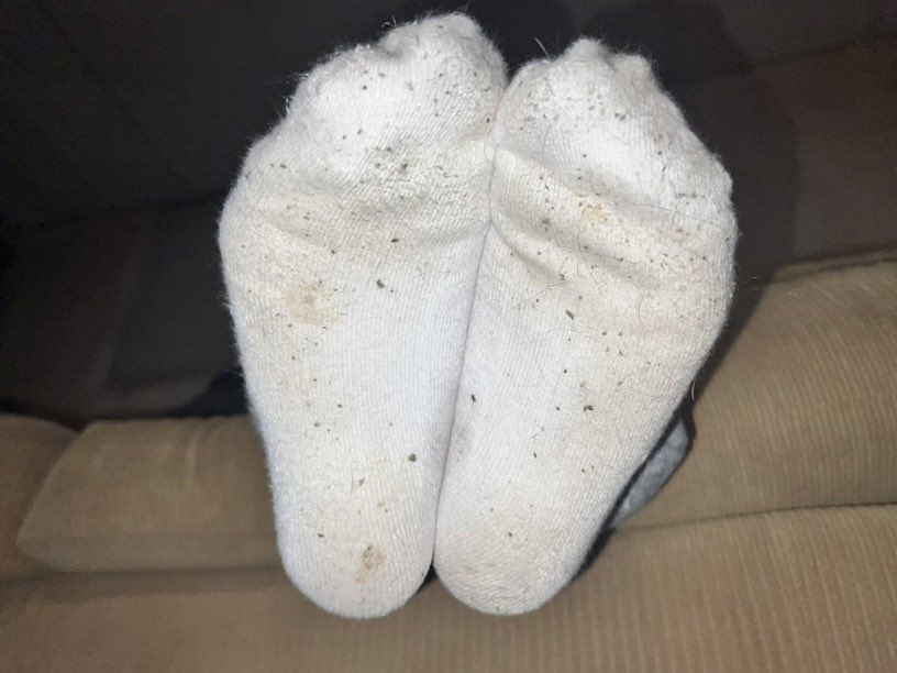 Catalyst_feet's tweet photo. @menage_et_toes and some very ripe socks. Your eyes would water if you were in the same room. Imagine being tied up on the floor while she shoves them in your face🥵🧀🧦. #stinkysocks #stinkysoles #sockbitch https://t.co/U4Jjcd9V52
