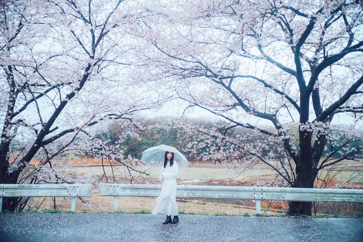 ksuk1230's tweet photo. 春の雨のにおい https://t.co/CjIjiCpwJq