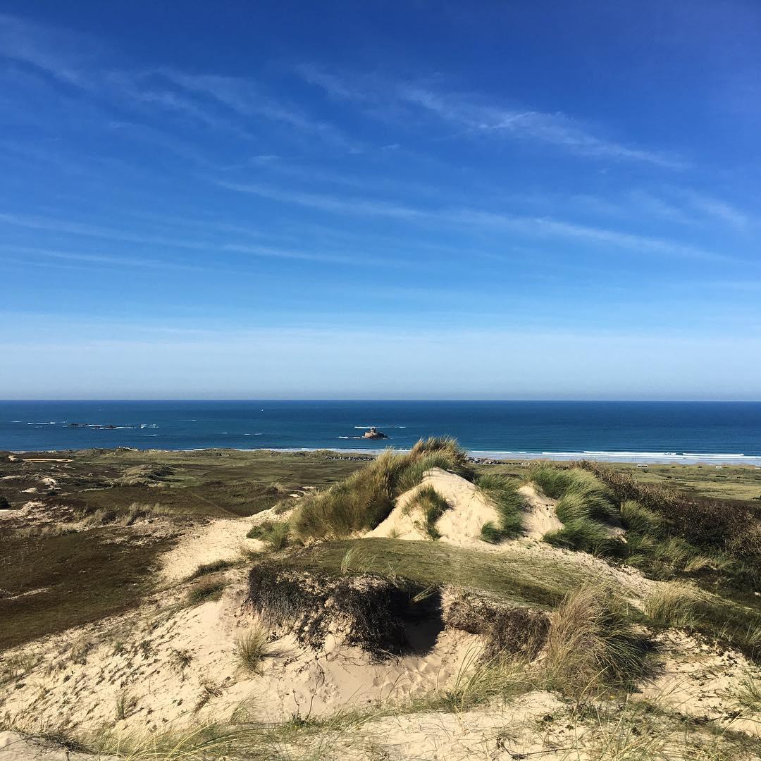 The sand dunes of St. Ouen's Bay are at the heart of the @jsynationalpark. Home to many animals and plants not found elsewhere in Jersey, the dunes should be firmly on your Jersey bucket list 🌿 🦎 Have you explored this unique part of our island yet? 📷 instagram.com/duggers73