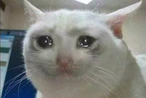 inferencenews's tweet photo. When you train a model for weeks and then find out someone else already did it better 😭🥹
#DataScience #dataScientist #MLteams https://t.co/ZMey1l4UE2