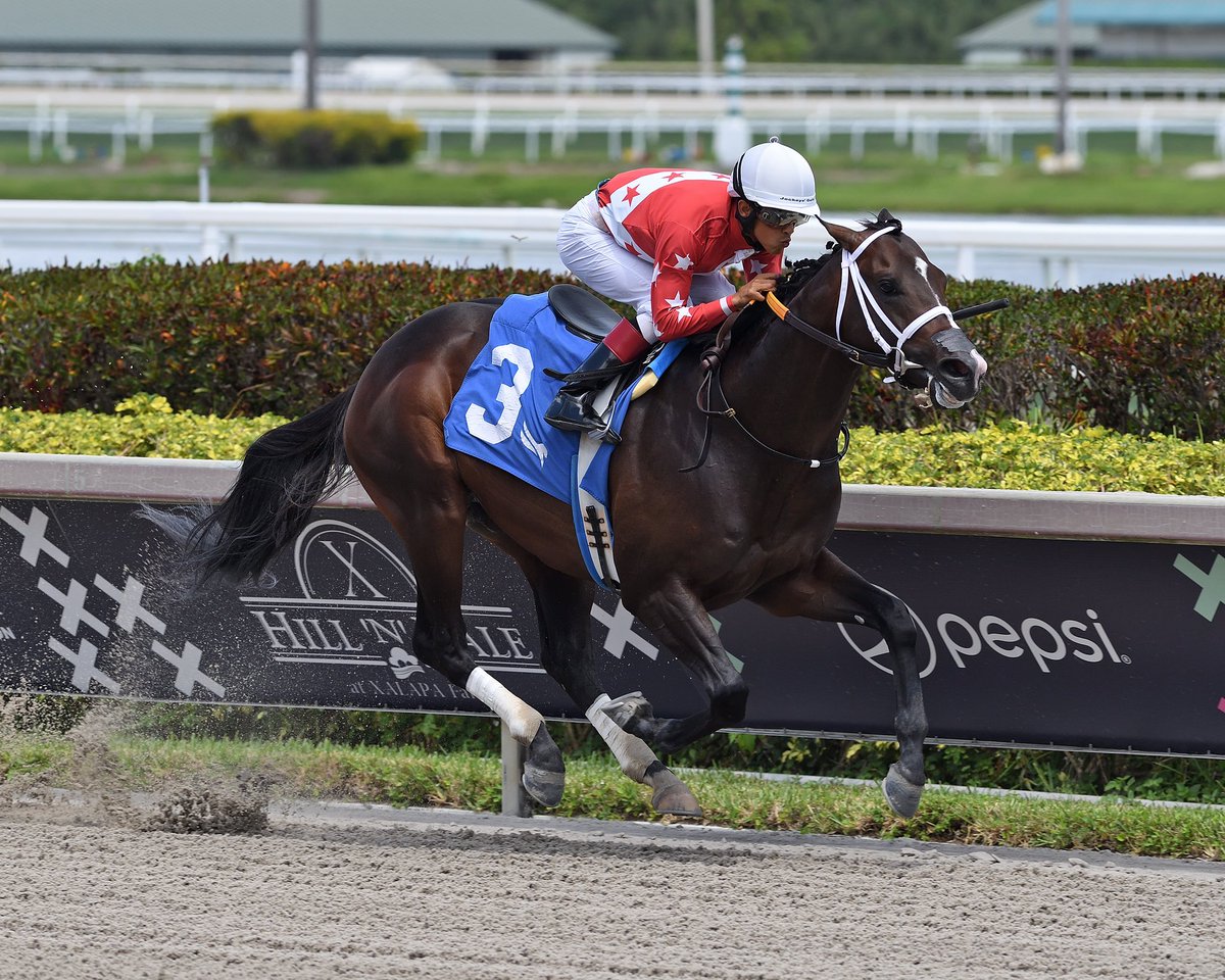 SaffieJosephJr's tweet photo. #10Apr The Iceman Runneth 

Jockey: Edgard Zayas 
Trainer: Saffie Joseph, Jr. 
Owner: The Four Horsemen Racing Stable Inc
Maiden Special Weight $40,000 • Dirt 

3️⃣rd win for Saffie Joseph, Jr. #RoyalPalmMeet Sunday, April 09, 2023 #GulfstreamPark 

📸 @coglianesephoto https://t.co/WvgEyCNSqH