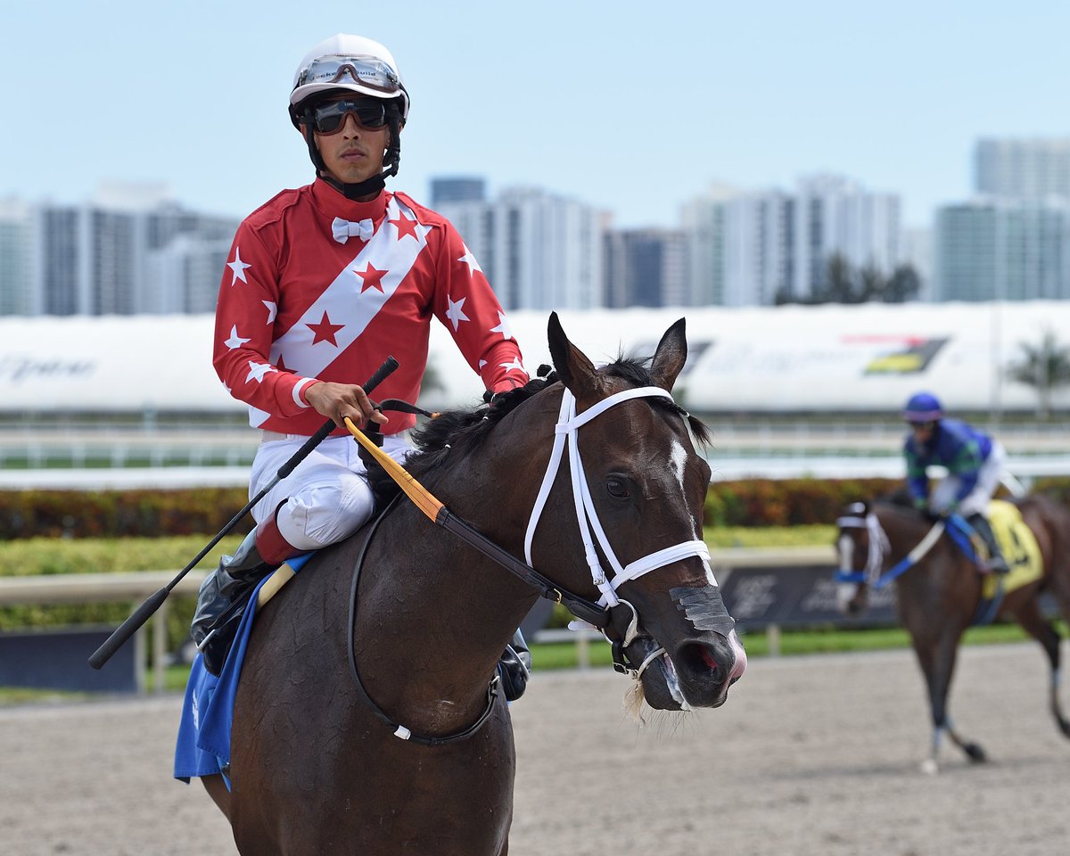 SaffieJosephJr's tweet photo. #10Apr The Iceman Runneth 

Jockey: Edgard Zayas 
Trainer: Saffie Joseph, Jr. 
Owner: The Four Horsemen Racing Stable Inc
Maiden Special Weight $40,000 • Dirt 

3️⃣rd win for Saffie Joseph, Jr. #RoyalPalmMeet Sunday, April 09, 2023 #GulfstreamPark 

📸 @coglianesephoto https://t.co/WvgEyCNSqH