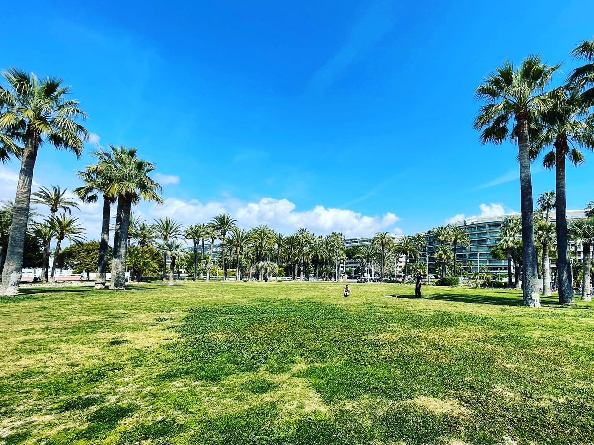 Green. 

#CannesGreen #CannesAvance #green #gardens #jardin #vert #Cannesvert #printemps #spring2023 #cotedazurfrance #plagebijou #lundidepâques #Cannes2023