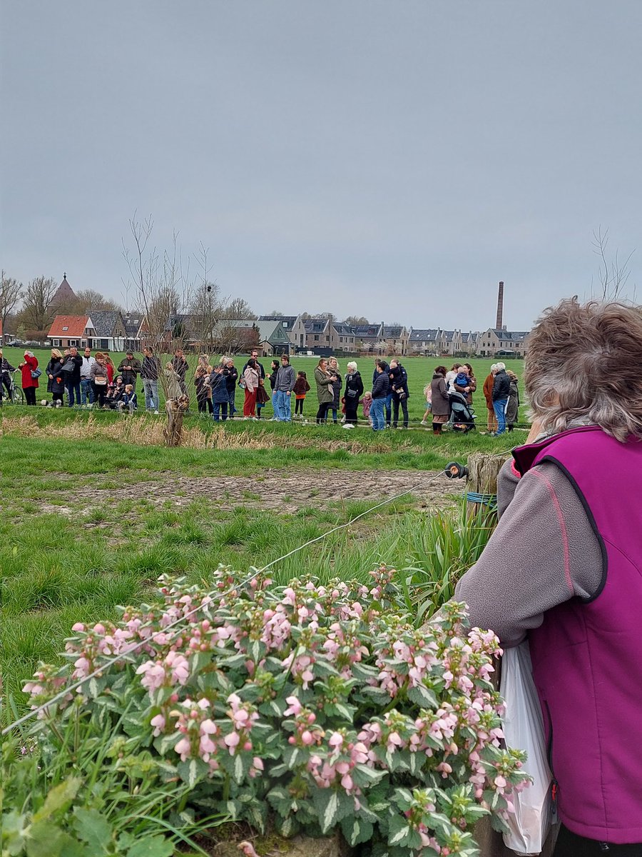 Bron: Edward Neering