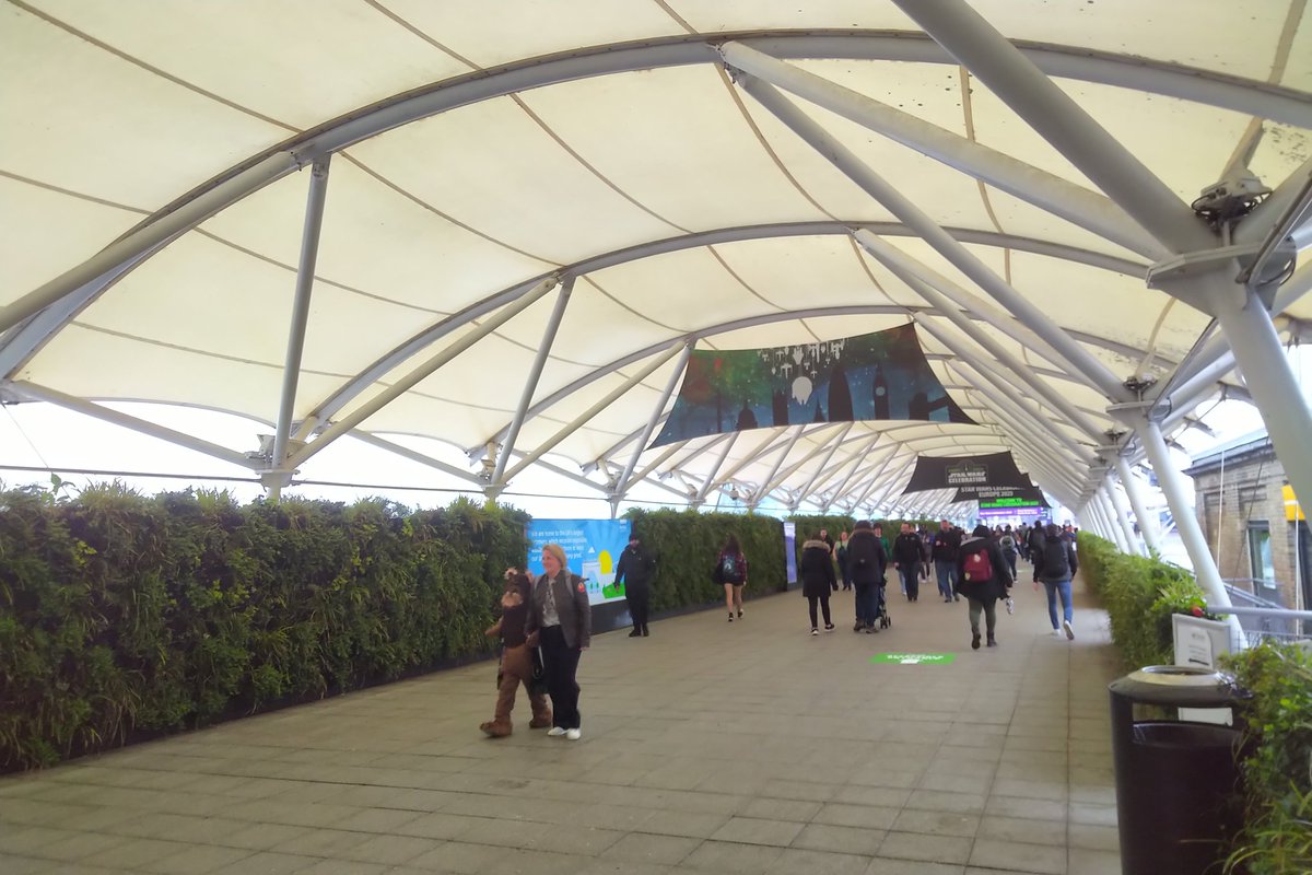 Day 4 is upon us......