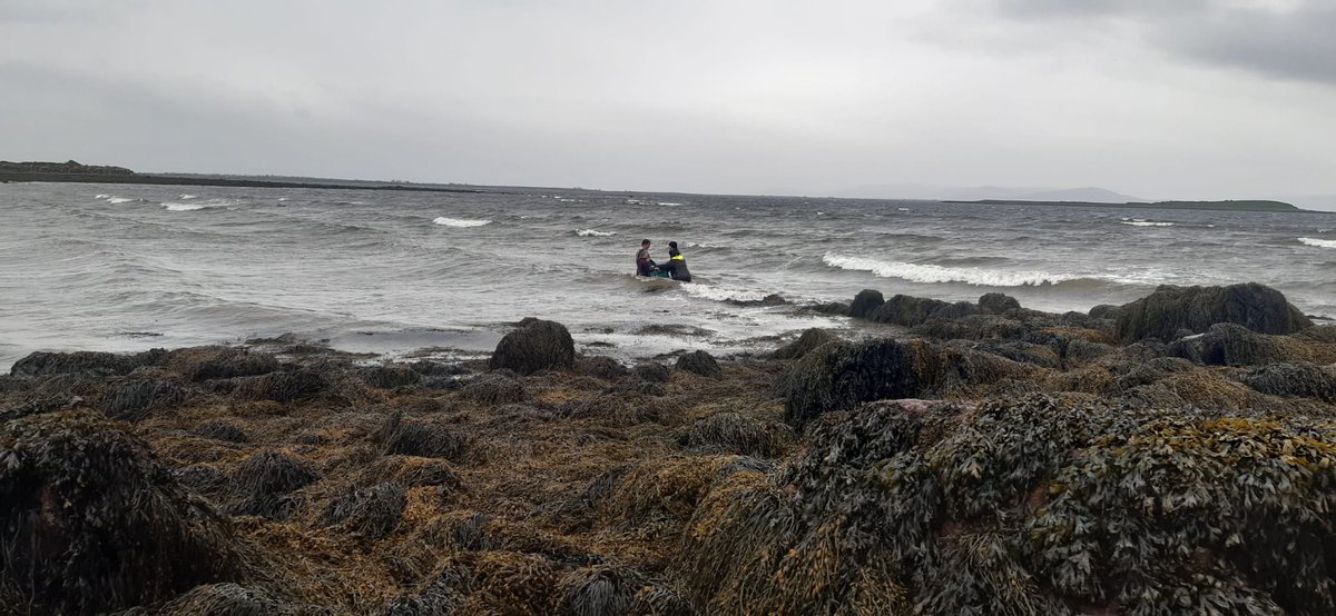 IWDGnews's tweet photo. The #GalwayHookerSailingClub refloated a dolphin on Easter Sunday, which was later identified as a #stripeddolphin. A special thanks to the GHSC for turning out in wet, windy conditions yesterday. We also thank Ciaran Oliver for taking photos of the animals' markings/lesions. https://t.co/XZUF6O1yZp