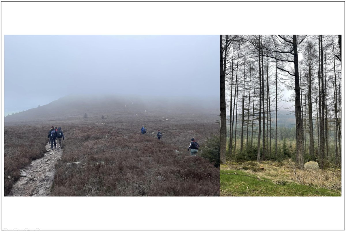 865 (Portlethen) Air Cadets tweet media