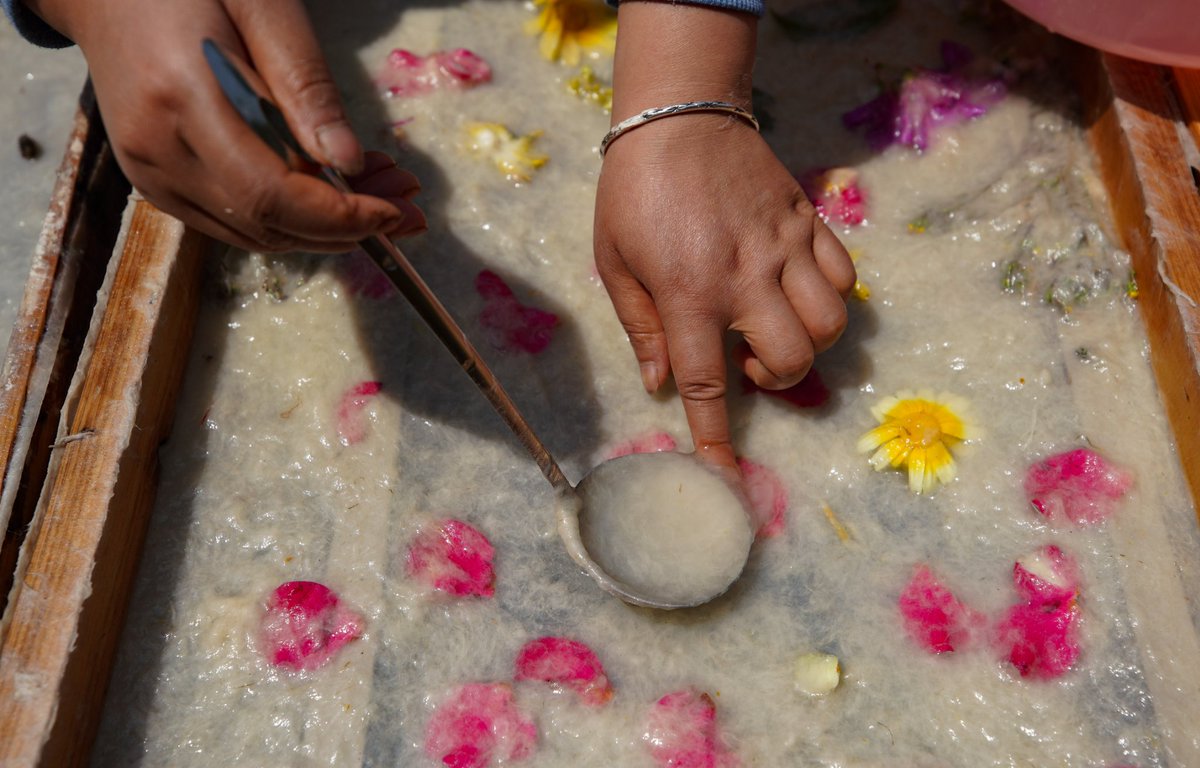 DiscoverGuizhou's tweet image. Danzhai is famous for the national intangible cultural heritage item, traditional #papermaking. Local papermakers sealed flowers🌸 and grass🌱 in the papers, trying to retain the spring, and that makes it an eye-catcher in the #tourism industry.#SpringinChina #FlowersinGuizhou