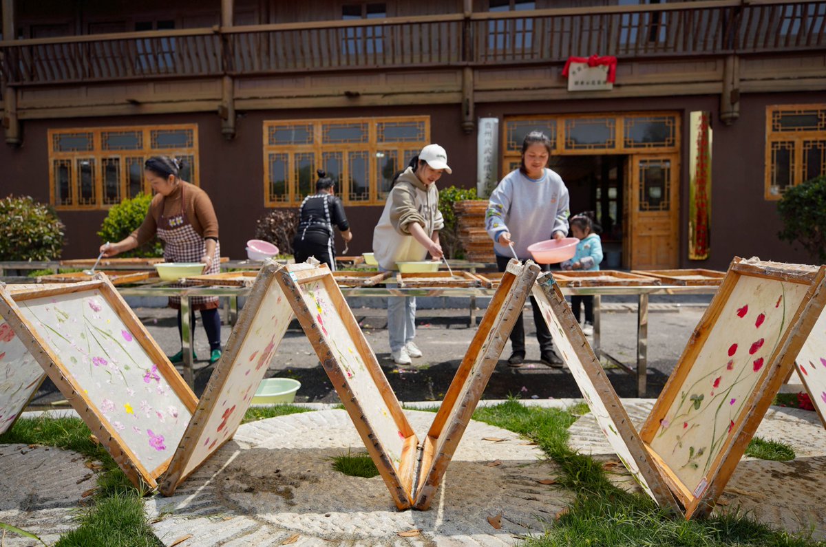 DiscoverGuizhou's tweet image. Danzhai is famous for the national intangible cultural heritage item, traditional #papermaking. Local papermakers sealed flowers🌸 and grass🌱 in the papers, trying to retain the spring, and that makes it an eye-catcher in the #tourism industry.#SpringinChina #FlowersinGuizhou