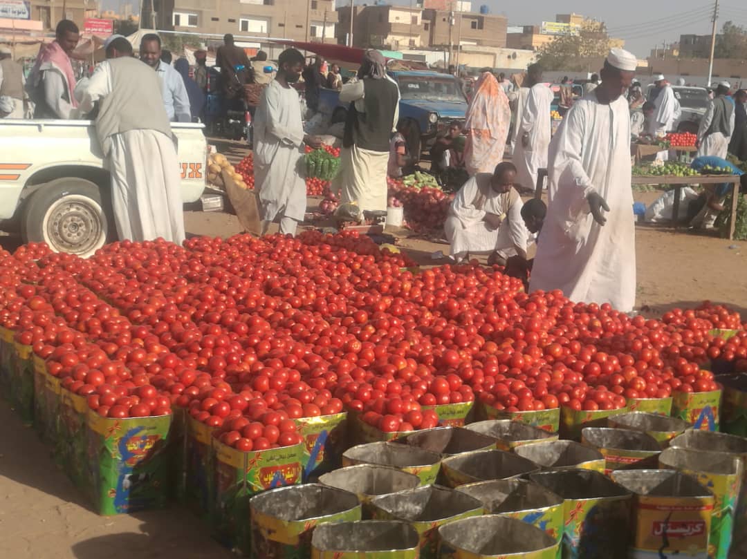 هل السودان أرض الفرص للأعمال التجارية الزراعية (Agribusiness)?