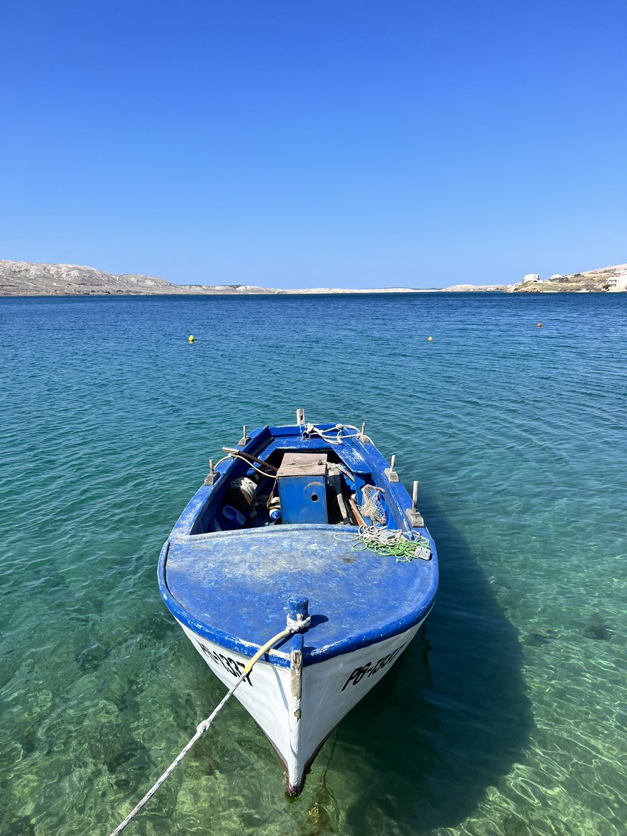 Dinko Eror tweet media