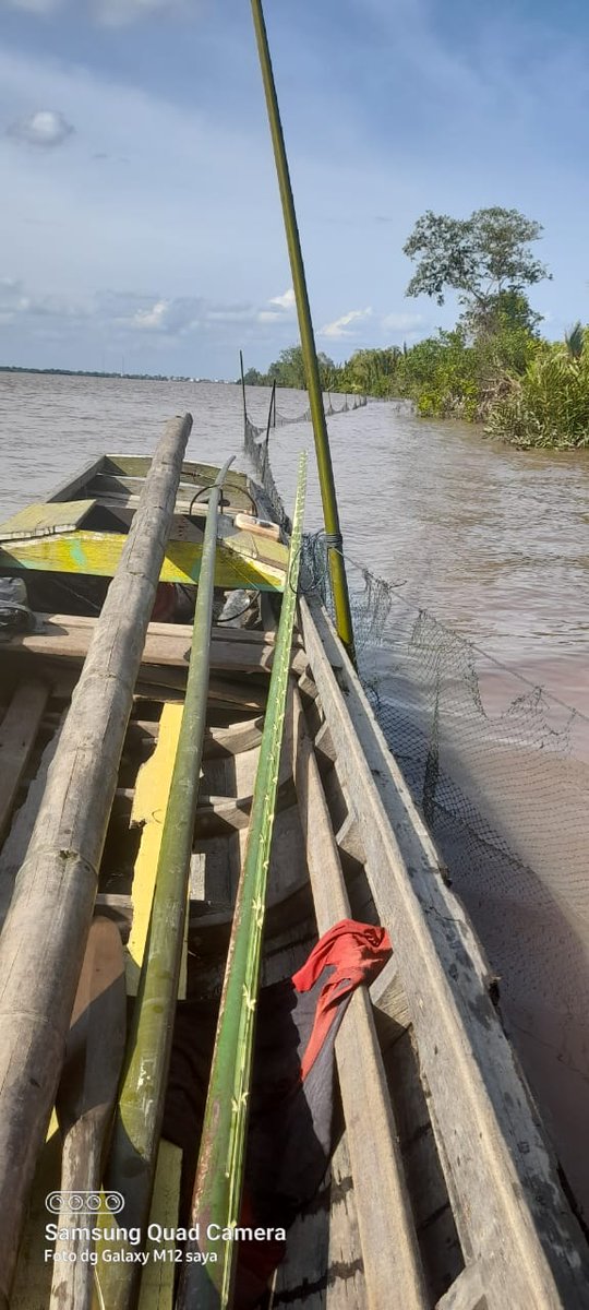 BudiantoSpi's tweet photo. Senin (10/04/23), Budianto, Luhkan Indragiri Hilir, di KUB Belat Pantai Kel. Sei. Perak,  Melaporkan tangkapan, Udang Galah dengan alat tangkap Belat Pantai/Hampang sebanyak 3 kg harga Rp. 90.000/kg
#GiatLuhkanSatminkalMedan #Inhil #Tangkap
@bpppmedan_brsdm
@puslatluhkp
@brsdm_kp https://t.co/wLEO0KuJIQ