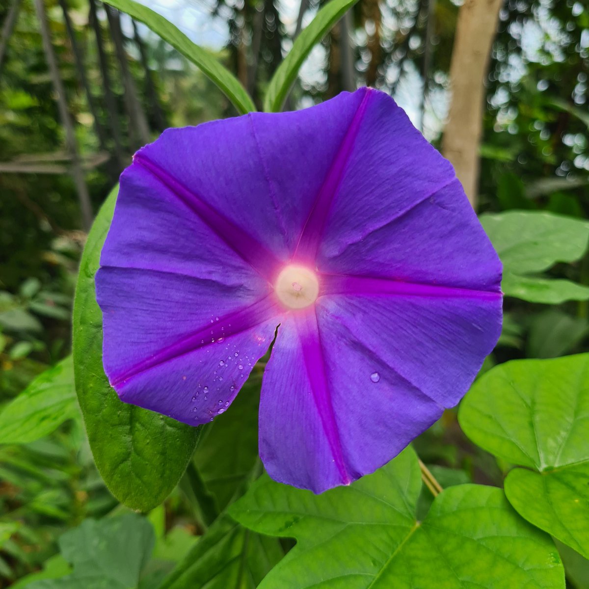 beccaperrett90's tweet photo. #edenphotocomp https://t.co/AJjpLtPS86
