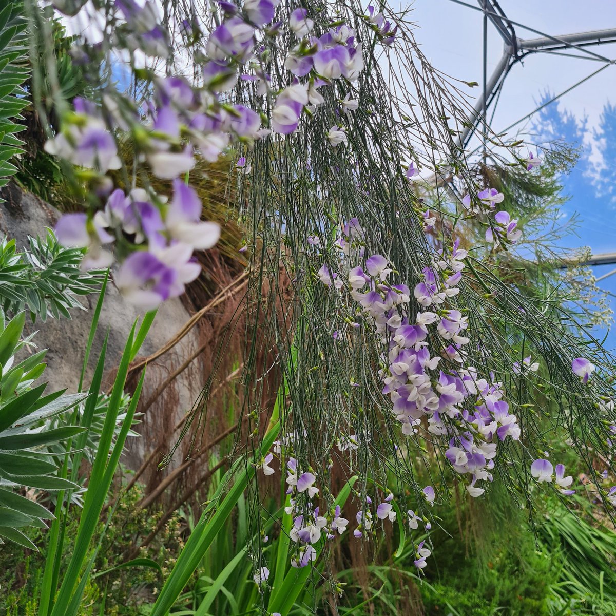 beccaperrett90's tweet photo. #edenphotocomp https://t.co/gwGFmXne0f