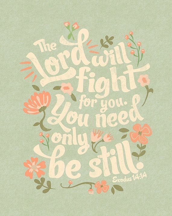 PaulaPatterson's tweet photo. Monday Motivation https://t.co/pGLnD0W8Pe