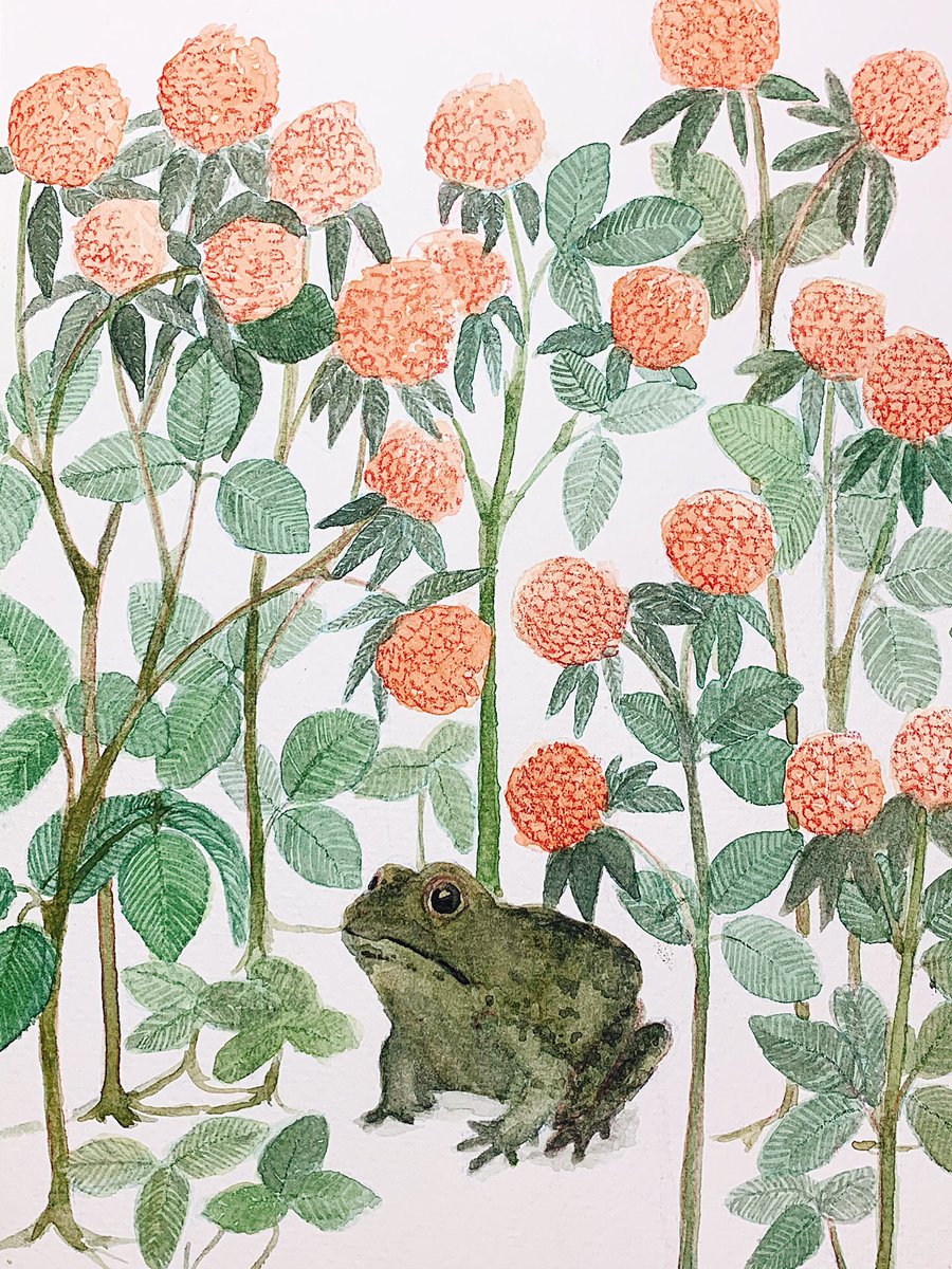 titsay 𓆏 on Twitter "RT titsay do not worry, you are as beautiful as