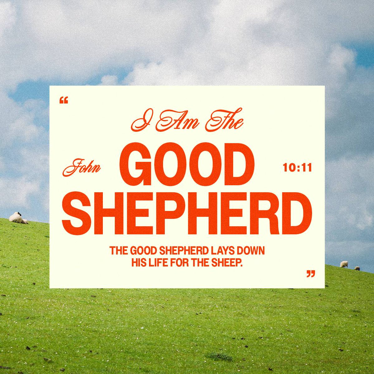 lefthandthreads's tweet photo. I am the good shepherd: the good shepherd giveth his life for the sheep.
John 10:11 KJV

https://t.co/uZmjWfxx4H https://t.co/6KTmZ0no4N