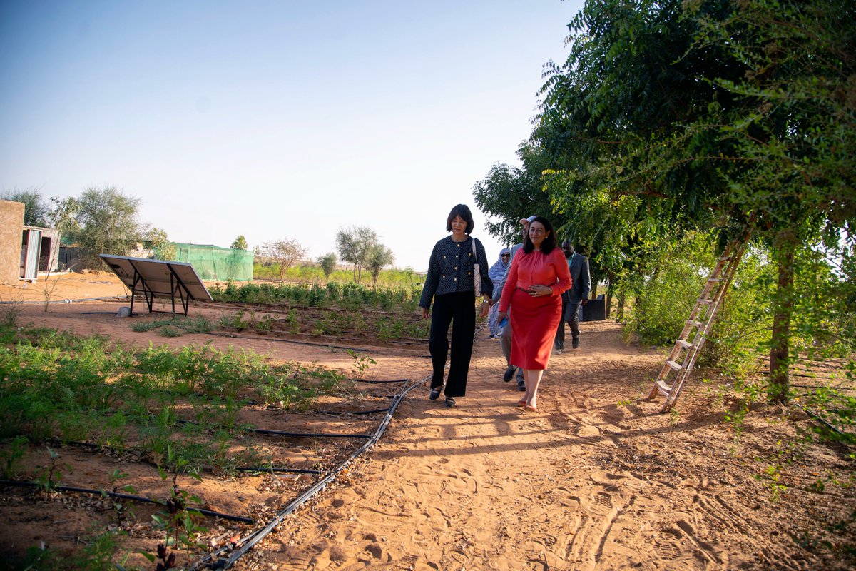 PanascoIsabel's tweet photo. 🇲🇷Retour en images : Première visite terrain de notre Directrice Pays ! Le Projet Régional Sahel Irrigation Initiative appuie la valorisation des terres #agricoles pour le #developpement des systèmes d'irrigation.
A la rencontre de l'association des femmes d'#Idini!
@BM_Afrique https://t.co/VdG3j9rcCN