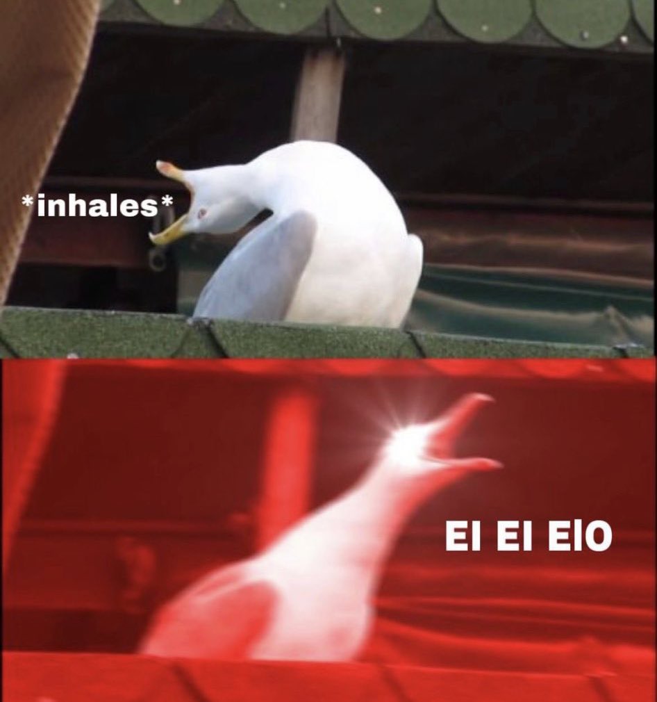 VFL Leicester (@vflfoxes) on Twitter photo 