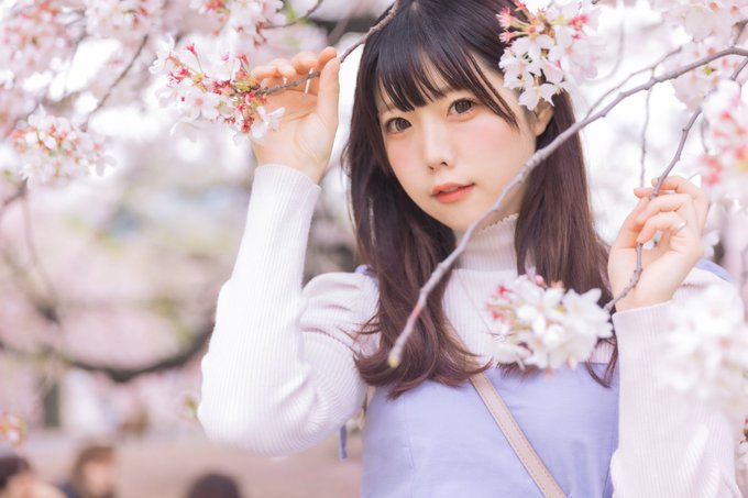 コスプレイヤーニャロメ・ニアのTwitter画像12