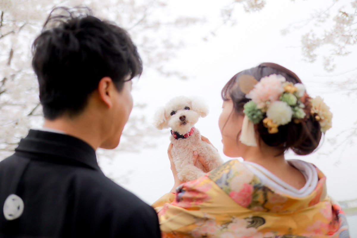 daigongon318's tweet photo. 【ご報告】
本日結婚いたしました！！！
笑いの絶えない明るい家庭に
していきたいです。
まだまだ未熟ものですが
夫婦共々、ご指導ご鞭撻のほど
よろしくお願いいたします。 https://t.co/6vLzLuh4r0